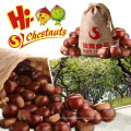 Vacuum packed roasted chestnuts snacks for sale